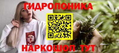 сатива Мариинск