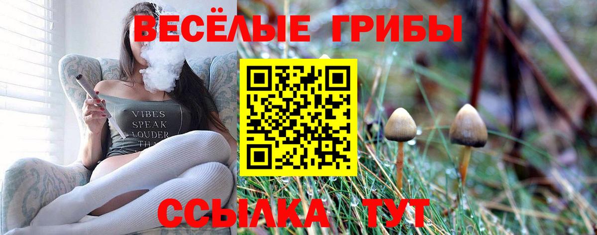 Галлюциногенные грибы Cubensis Химки