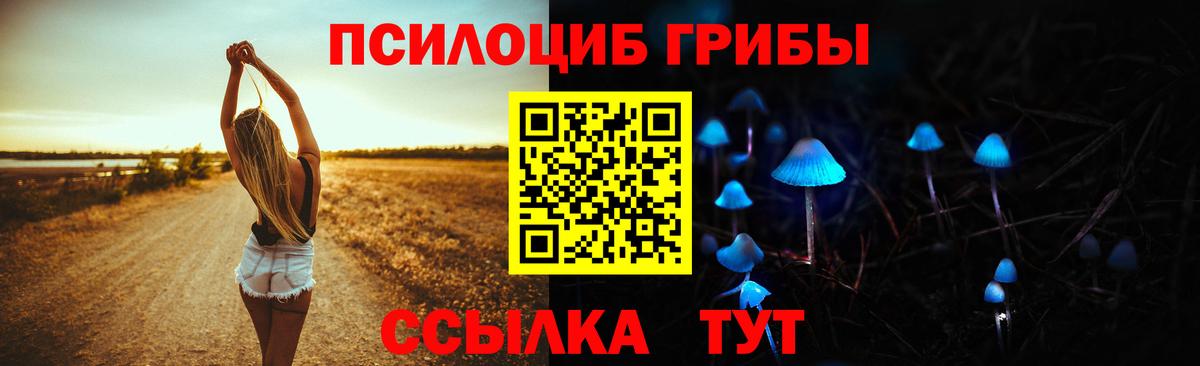Химки  Галлюциногенные грибы Psilocybe  Вход с VPN  Псилоцибиновые грибы MAGIC MUSHROOMS 
